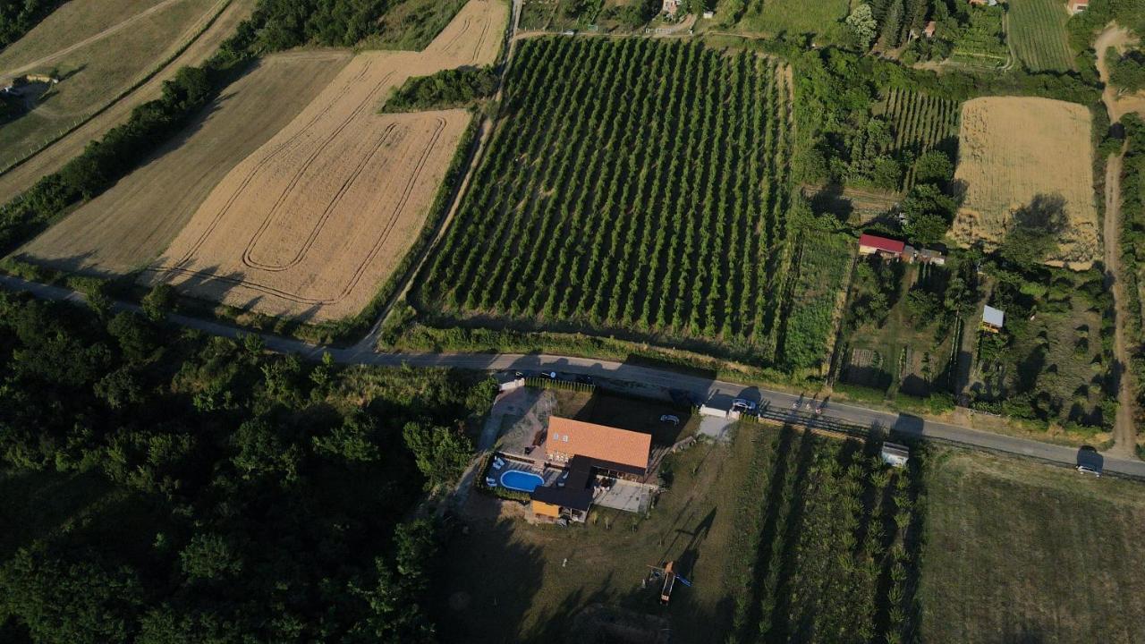 Vila Fruska Sremski Karlovci Exteriér fotografie